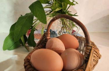 Charmante maison de campagne - Foto 12