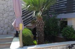 ŠPARADIĆI - Photo 8