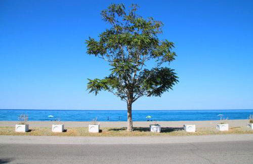 Agriturismo Vulcano - Foto 117