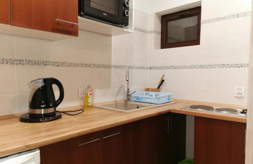 Domki Borowiackie nad brzegiem jeziora - Foto 63