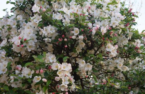 Ferienhof Barthel - Foto 56