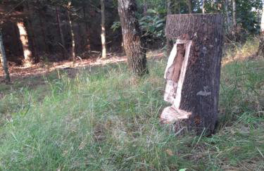 Dom na Kresach Grzybowszczyzna - Photo 54