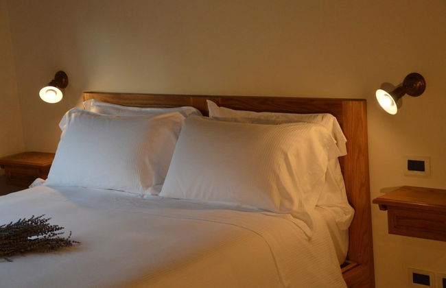 Fattoria Lucciano - Foto 20