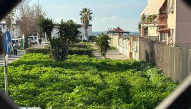 Casamare Ostia - Foto 3