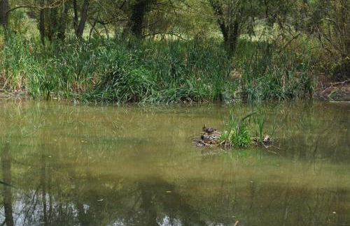 Apartamento "El Lilà" - Parking incluido - Foto 54