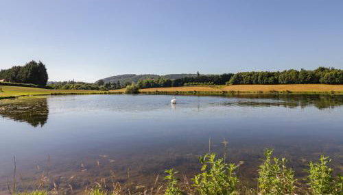 Ailsa Craig - Photo 3
