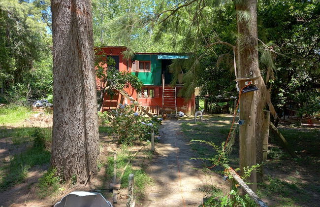 Cabaña del humedal - Foto 26