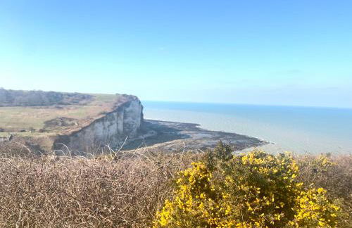 Résidence Pleine mer - Foto 30