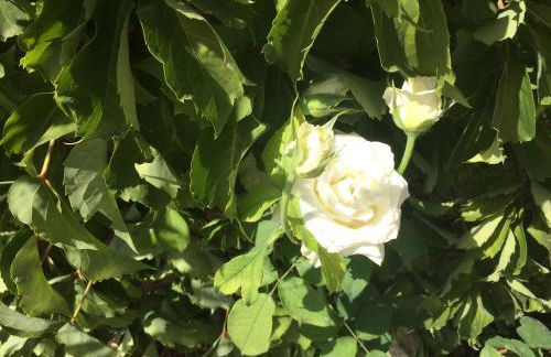 Anna's Stone House - Foto 55