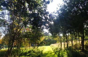 Foxglove Cottage - Photo 20