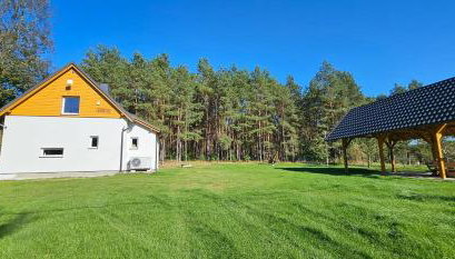 Leśna Przystań Bory Tucholskie - Foto 2, Garden, Garden view