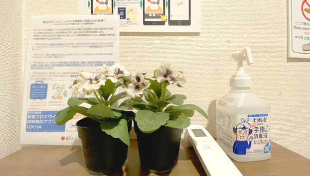 Space Kuro Kamata - Foto 2, Habitación