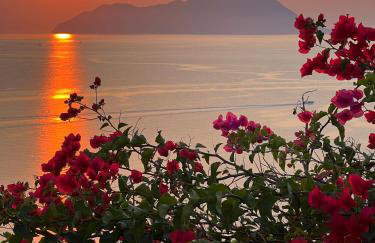 Sunset Flower Villa - Foto 23