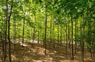 Bright 4BDR Home by Lake MI Arcadia Bluffs Portage Lake 2832 - Photo 54