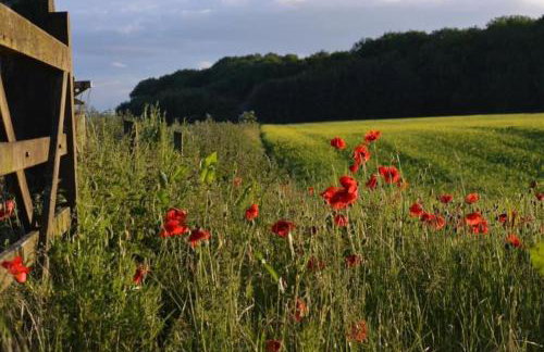Relaxing Retreat on the edge of the Cotswolds - Foto 12