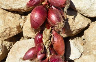 Azienda Agrituristica Caridà - Foto 33