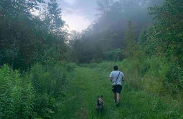 Secluded Farmhouse Near Okemo, Bromley, Sunapee - Foto 31
