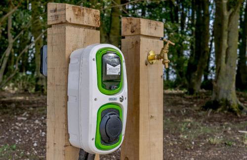 1 Pheasant - Photo 13