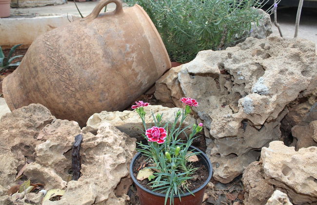 Eliza Hotel - Foto 66