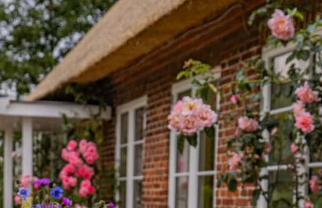 Appelhus Modern Retreat - Foto 28