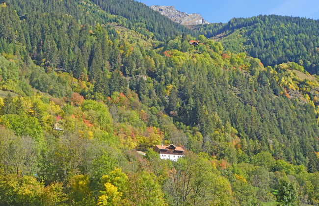 David am Buchhammerhof - Foto 6