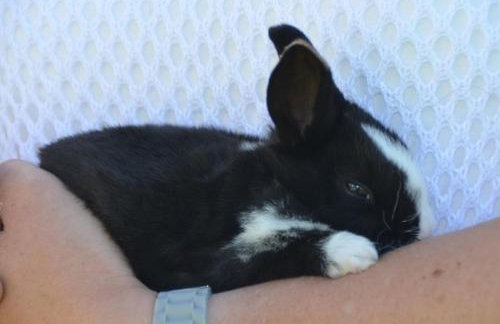 Haus Trötschler - Photo 3