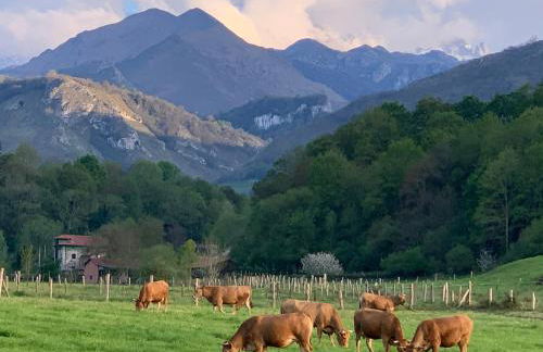 Casa La Huerta - Foto 39