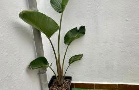 Relaxing Villa Las Torres - Foto 62