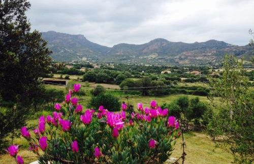 Agriturismo La Casa delle Fate - Photo 50