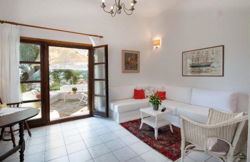 Bougainvillea - Foto 21