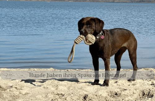Lodge of Africa - einzigartige Themenzimmer, eingezäunten Garten, Sauna, Whirlpool & Kamin, Hunde willkommen, Gasgrill, voll ausgestattete Küche, großer Essbereich, Hamburg & Stade in der Nähe - Photo 10