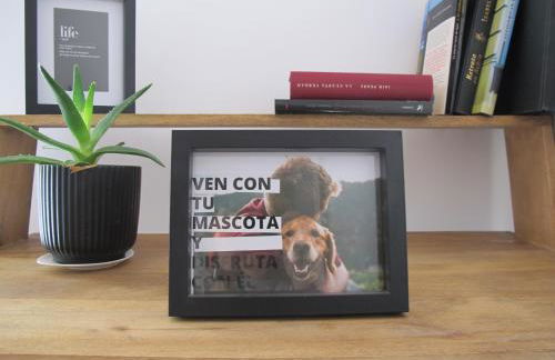 Apartamento grande en Huesca - Foto 42