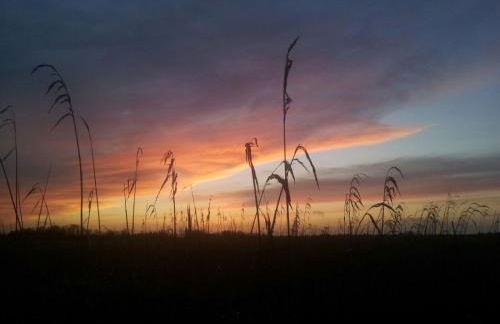 Ferienwohnung Anna Frieda - Foto 23