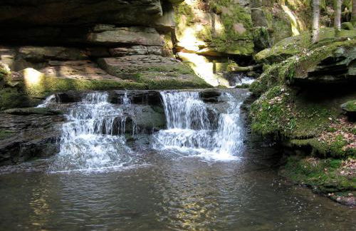 Ferienhaus Fuchseck - Foto 27