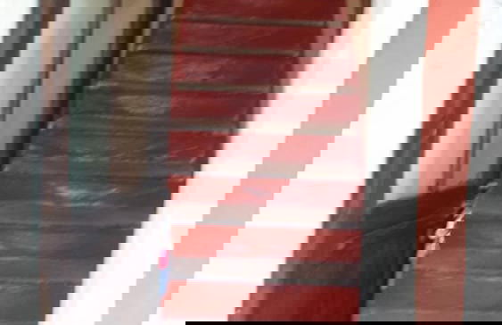 Cascina Binelli - Foto 38