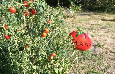 Gîte des Graves de Lilou - Foto 36
