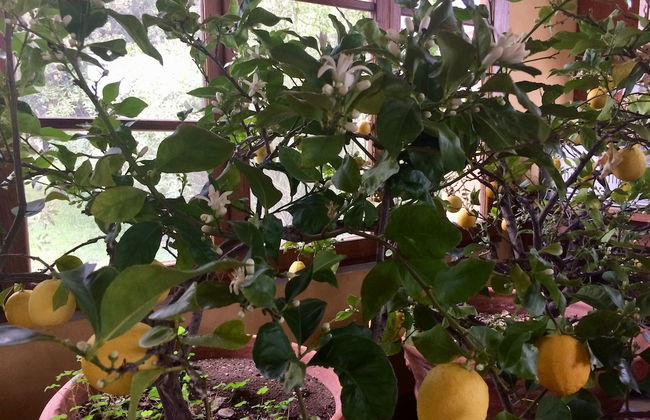 Agriturismo La Palazzina - Foto 69