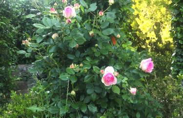 Il Giardino e la Dimora - Photo 56