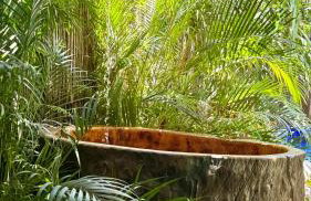 Pousada Rio das Onças - Photo 3