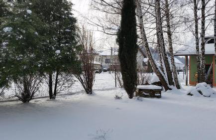 Świnna - Brzozowy Zagajnik - Foto 46