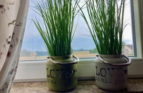 Ferienwohnungen Zur Biberburg - Foto 42