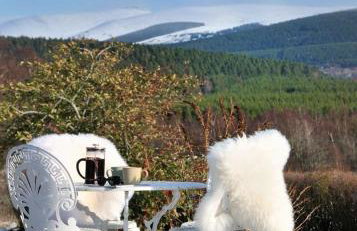 2 bed lodge with private hot tub in Aviemore - Foto 3