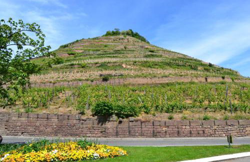 Nuit romantique, Suite avec jacuzzi et cinéma privé au design Japandi - Foto 19