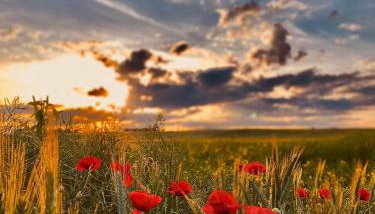 Mazurski Zakątek Skarlin - Foto 2