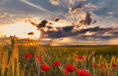 Mazurski Zakątek Skarlin - Foto 2