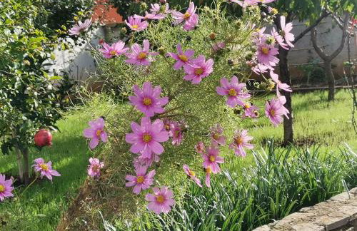 Romantic Apartment Flower - Photo 22