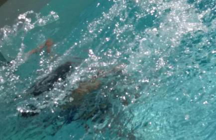 Azienda Agrituristica La Janna di la Faj - Foto 63