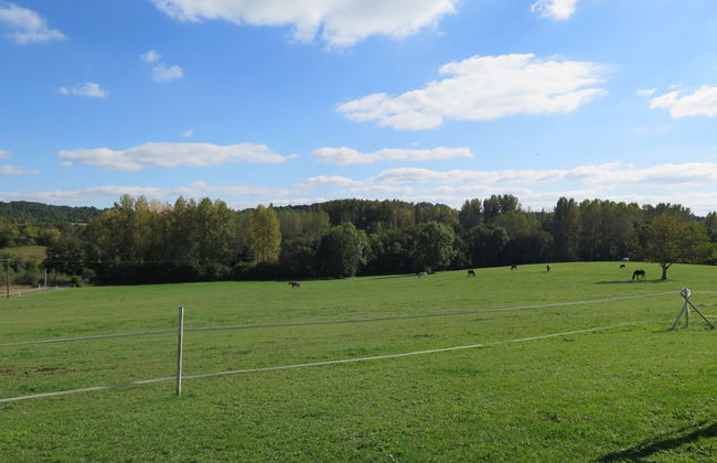 3 bedroom House in Chantérac with garden and terrace - Photo 23