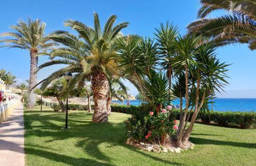 Bungalow Alkabir Playa - Photo 18