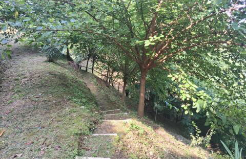 Bellavista Iseo - Foto 31